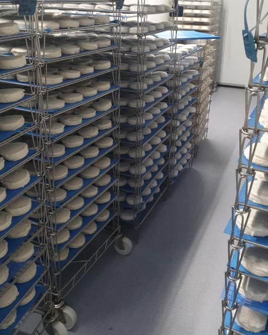 What Is Vegan Cheese? Everything You Need to Know
